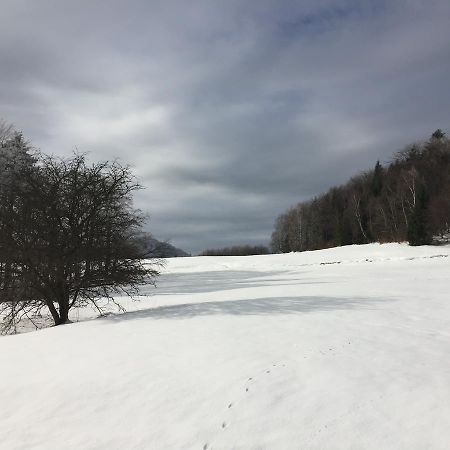 Pokoje Goscinne Vida Krynica-Zdrój Exterior foto