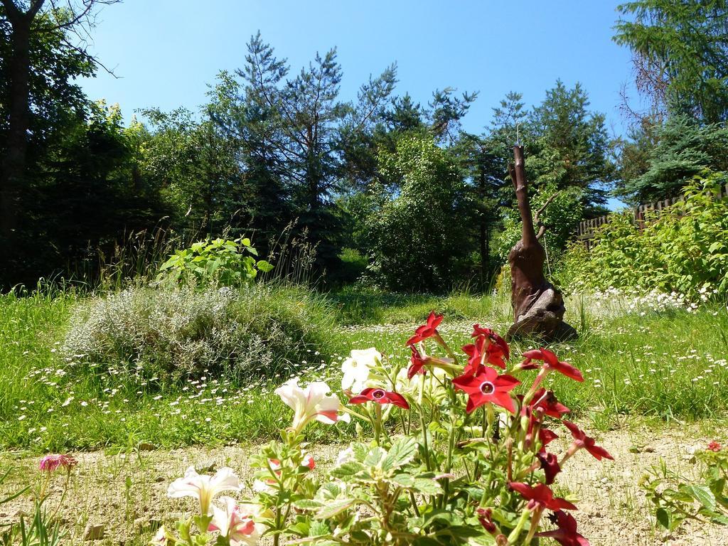 Pokoje Goscinne Vida Krynica-Zdrój Exterior foto