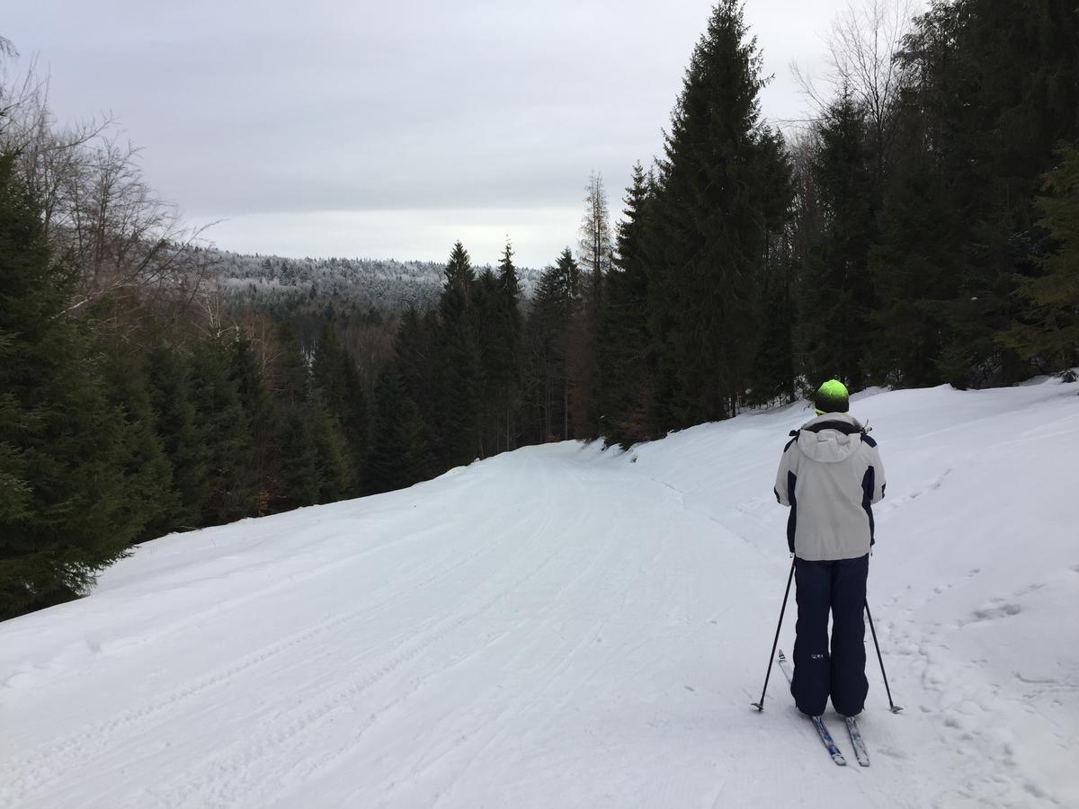 Pokoje Goscinne Vida Krynica-Zdrój Exterior foto